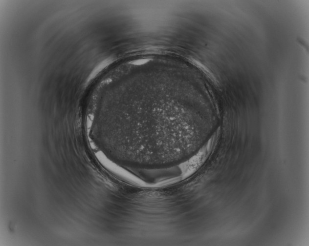 X0000091211450200709061430