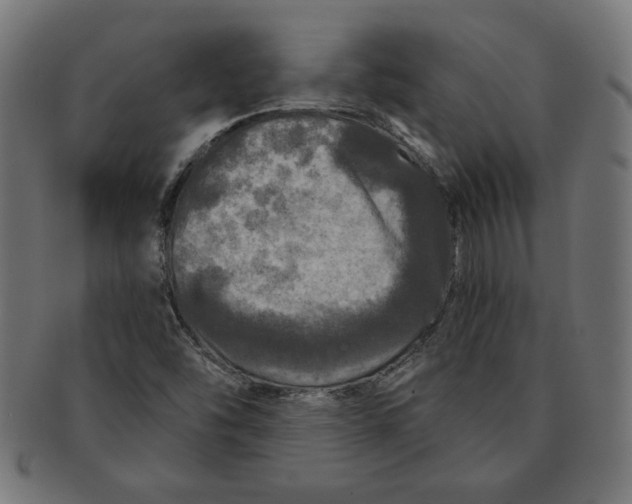 X0000091211454200709061430