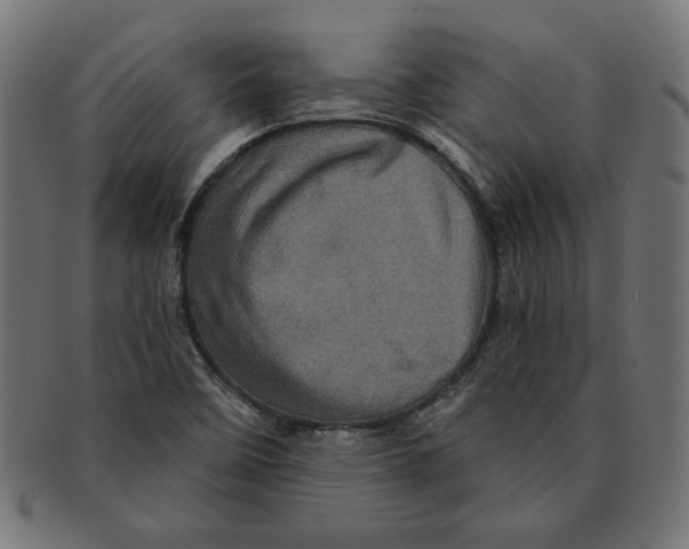 X0000091211458200709061430