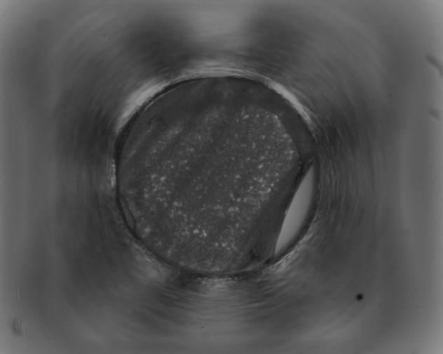 X0000091211461200709061430