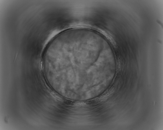 X0000091211462200709061430