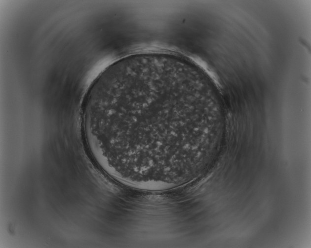 X0000091211463200709061430