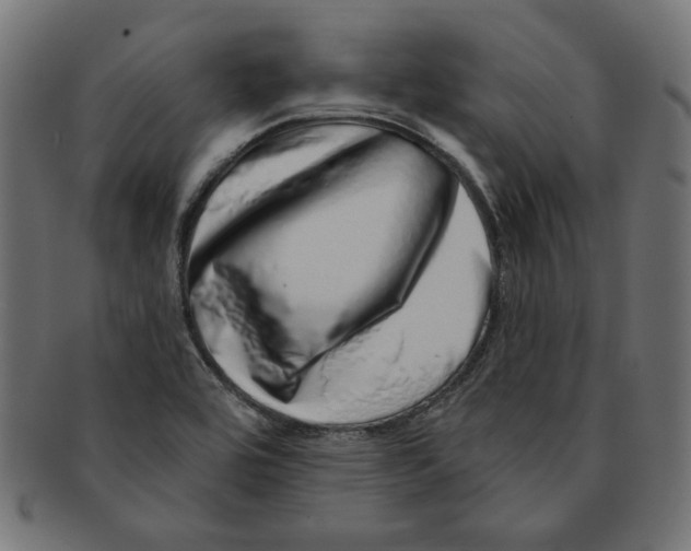 X0000091211464200709061430