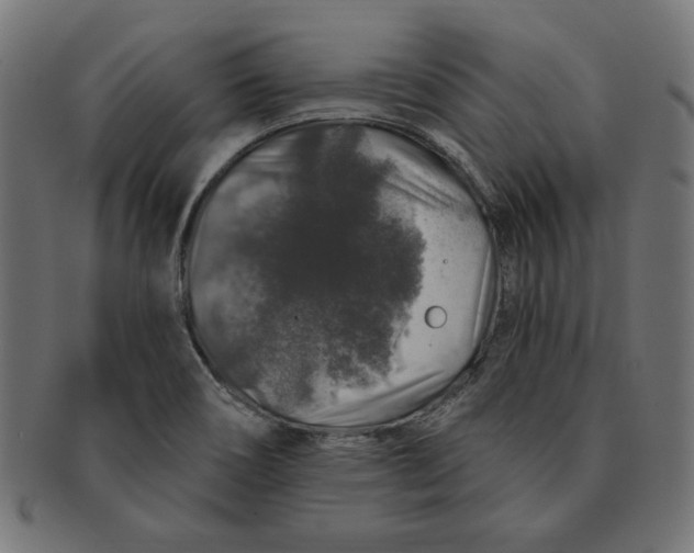 X0000091211466200709061430