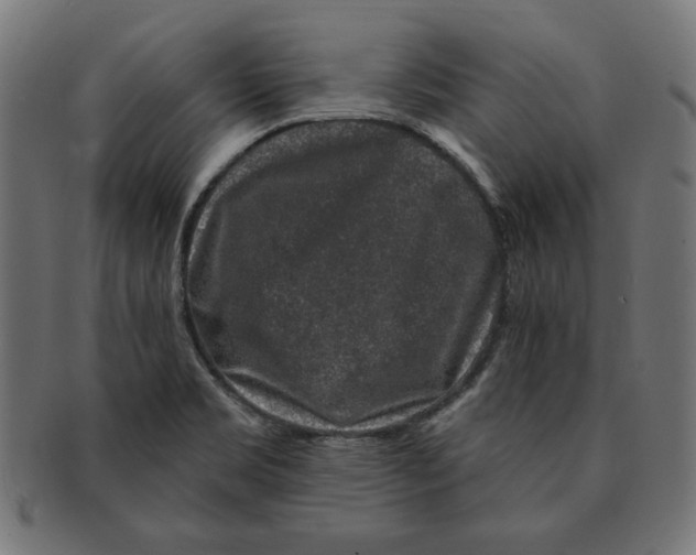 X0000091211469200709061430