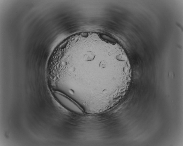 X0000091211471200709061430