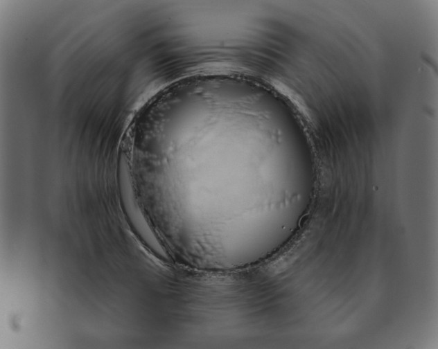 X0000091211473200709061430