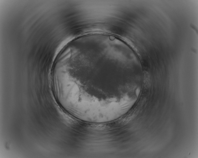 X0000091211474200709061430