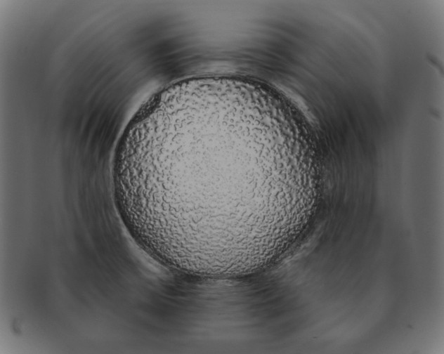 X0000091211475200709061430