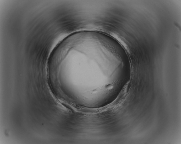 X0000091211477200709061430