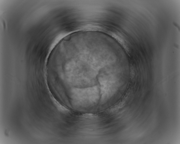 X0000091211478200709061430