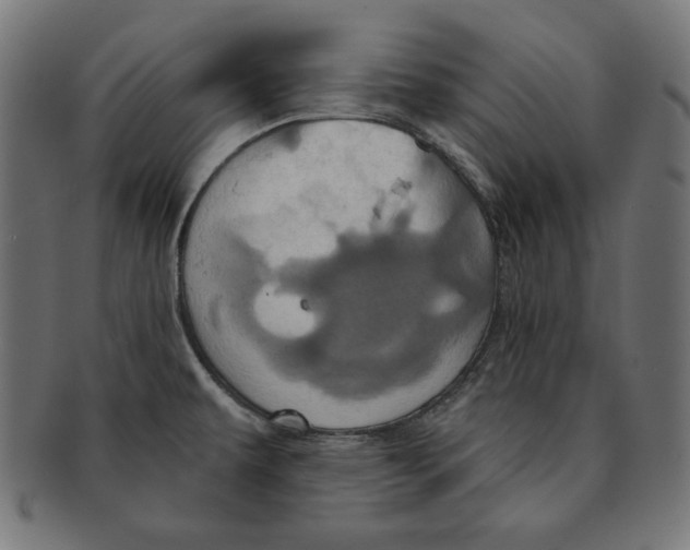 X0000091211479200709061430