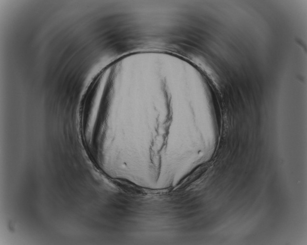 X0000091211480200709061430