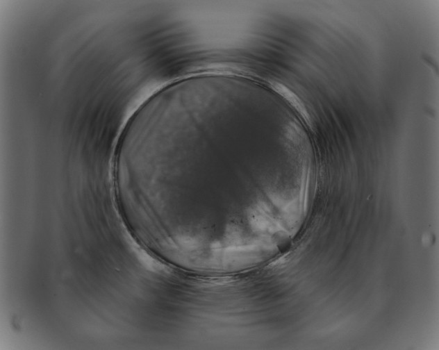 X0000091211482200709061430