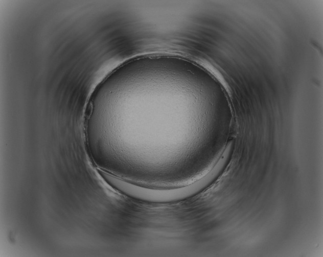 X0000091211485200709061430