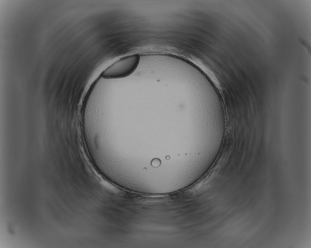 X0000091211486200709061430