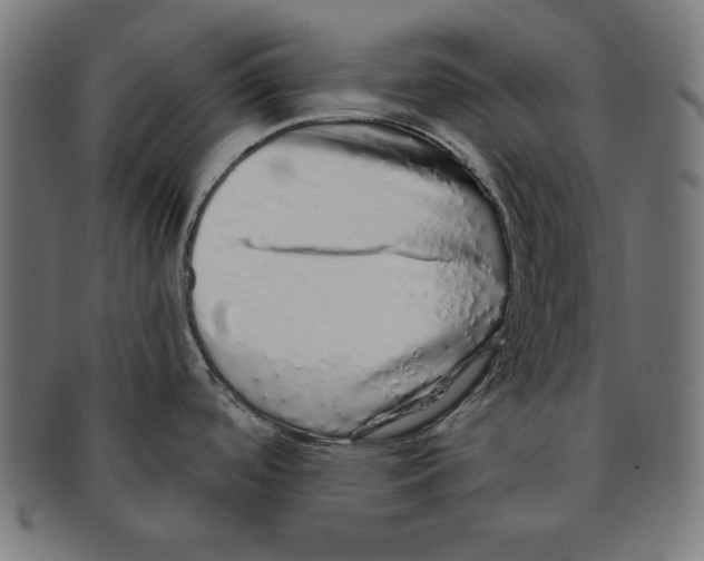 X0000091211488200709061430