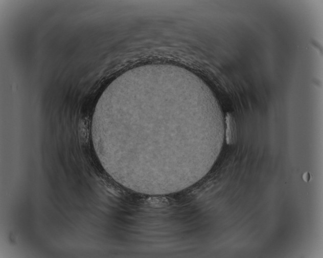 X0000091211491200709061429