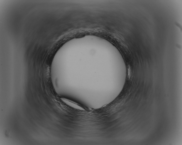 X0000091211492200709061429