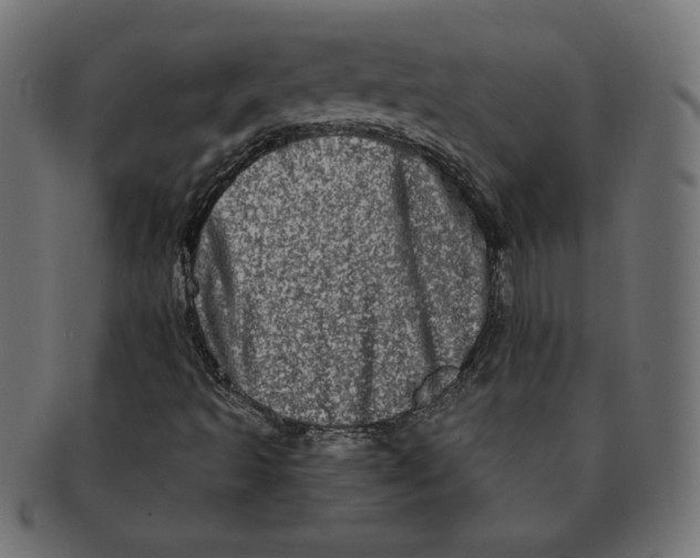 X0000091211493200709061429