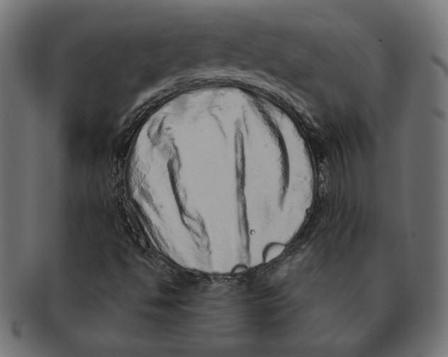 X0000091211494200709061429