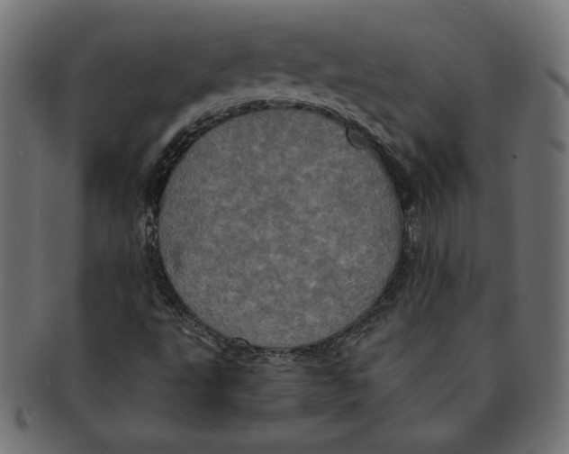 X0000091211495200709061429