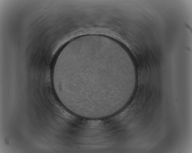 X0000091211498200709061429