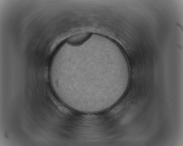 X0000091211499200709061429