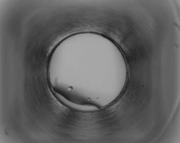 X0000091211500200709061429