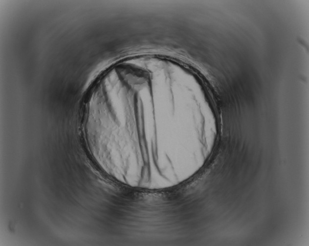 X0000091211501200709061429