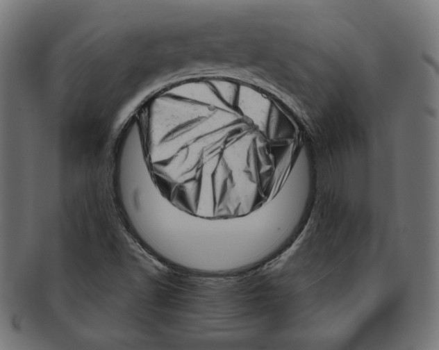 X0000091211502200709061429