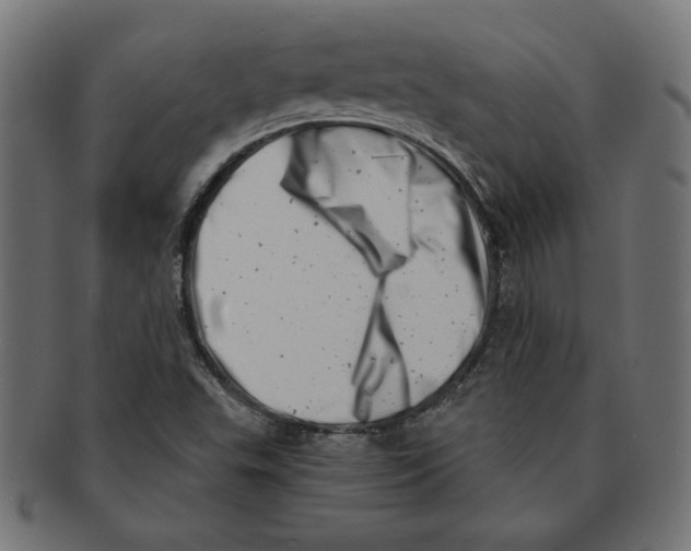 X0000091211503200709061429