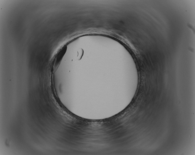 X0000091211504200709061429