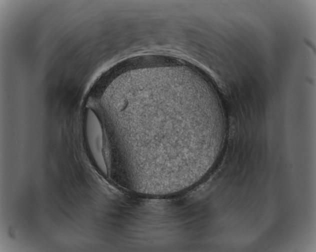 X0000091211506200709061429