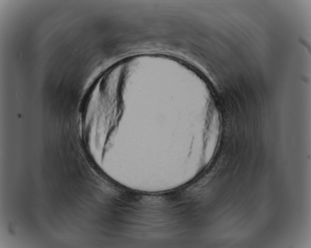 X0000091211509200709061429