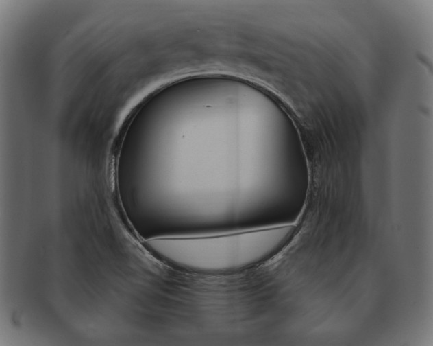 X0000091211510200709061429