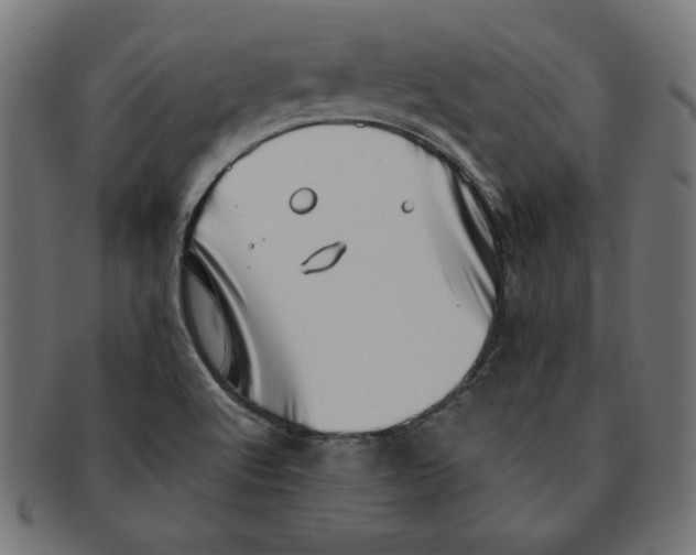 X0000091211512200709061429