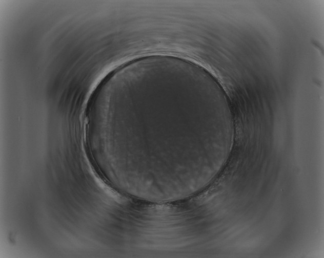 X0000091211515200709061429