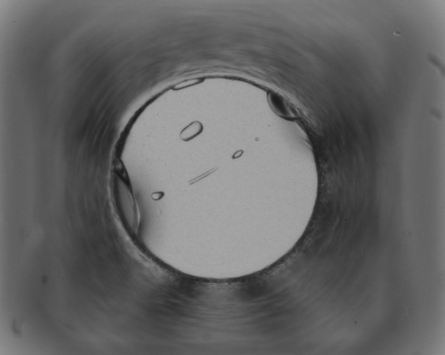 X0000091211518200709061429