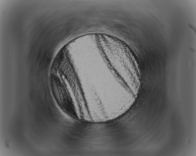 X0000091211519200709061429