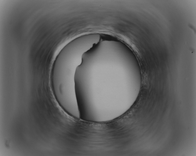 X0000091211520200709061430