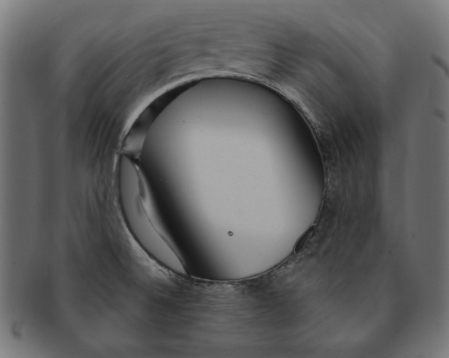 X0000091211524200709061430