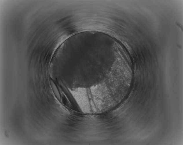 X0000091211529200709061430