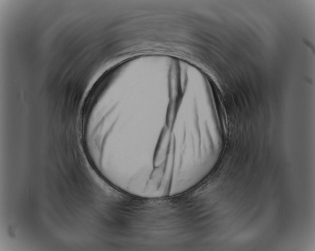 X0000091211531200709061430