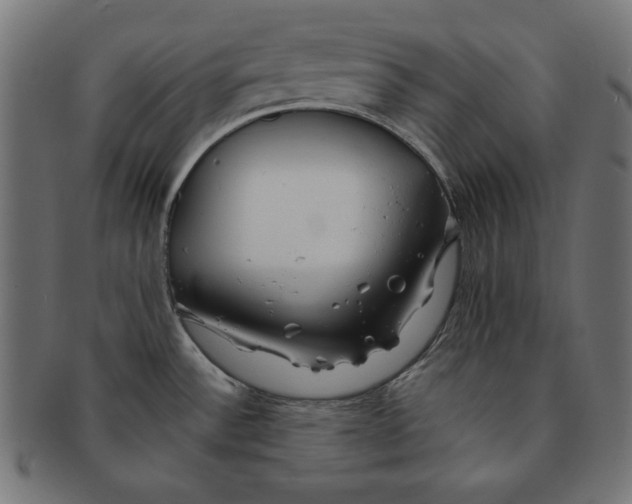 X0000091211532200709061430