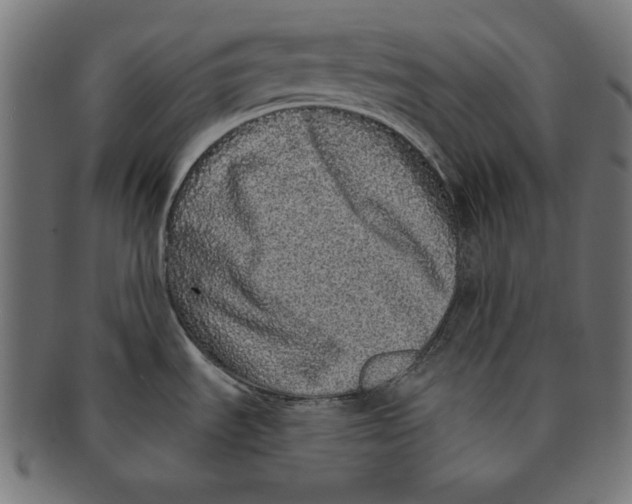 X0000091211535200709061430