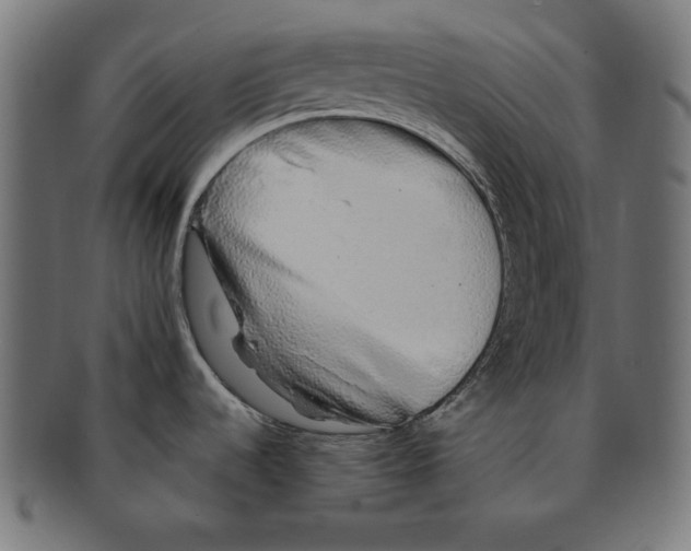 X0000091211536200709061430