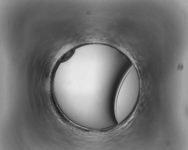 X0000091220008200708091147