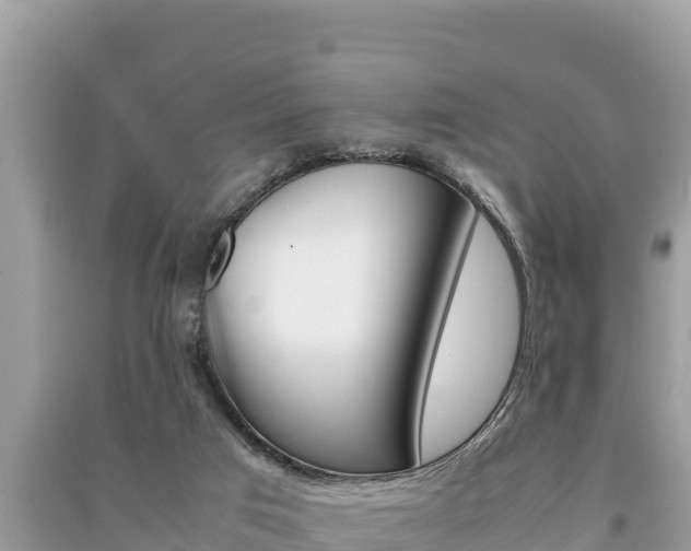 X0000091220017200708091147