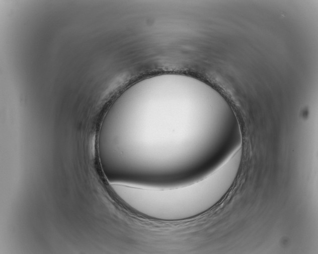 X0000091220019200708091147